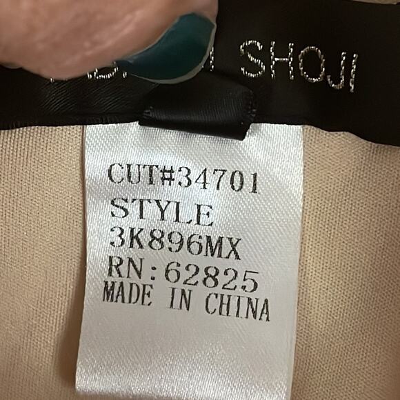 Tadashi Shoji Primrose Embroidered Lace Sheath Cocktail Dress Ivory Nude Size 6 - Picture 9 of 15